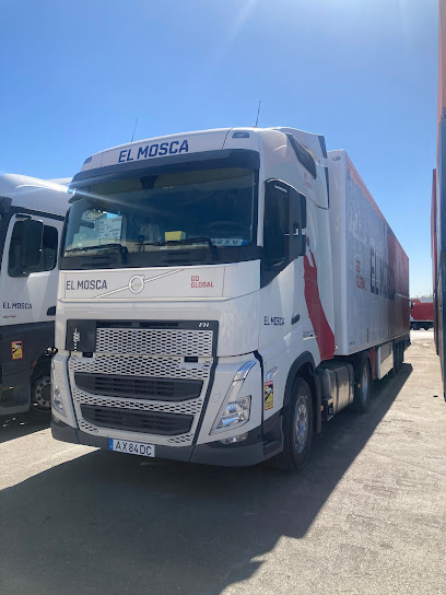 oficina mensajería Mosca Maritimo