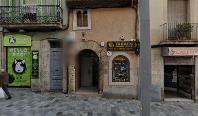 oficina mensajería DHL Express Service Point (ESTANC DALT)