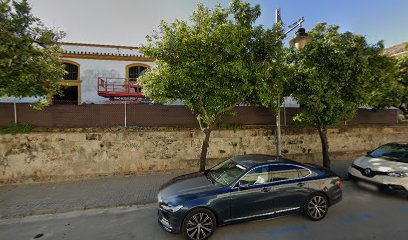 oficina mensajería Dronas 2002 S L